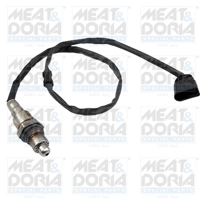 Oxygen Sensor